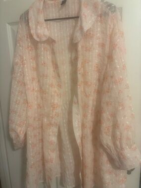 Cider Pale Peach Floral Sheer Blouse